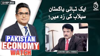 Ek tihai Pakistan sailab ki zad main | Pakistan Economy Watch | Aaj News