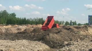 Осиновая роща