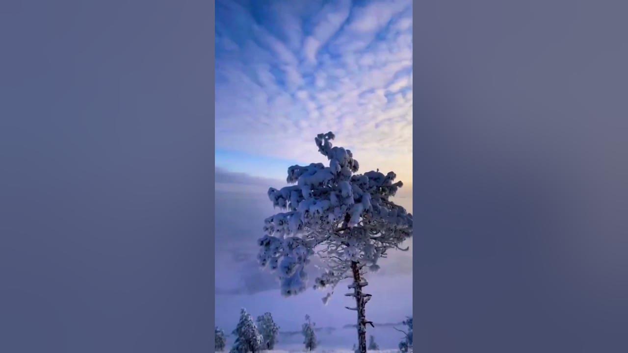 Высоко над уровнем Моря Якутия . - YouTube