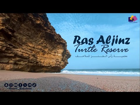 محمية رأس الجنز للسلاحف ع مان     