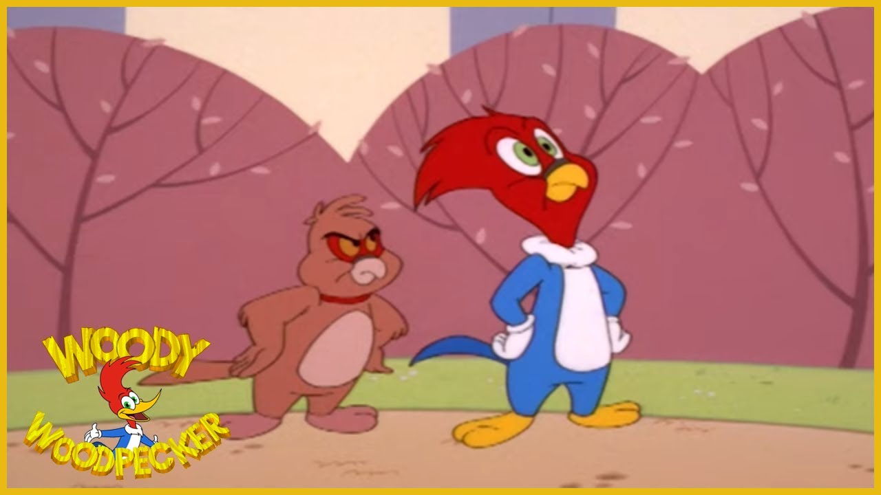 Woody Woodpecker | Woody The Pigeon | Full Episodes - YouTube