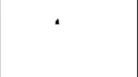 Animation with Photoshop and Movie Maker - Bat Flying