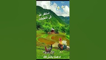 سورة النصر تلاوة خاشعة بصوت القارئ سعد الغامدي