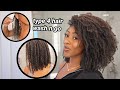 MY TYPE 4 NATURAL HAIR WASH N GO ROUTINE... how to achieve the most defined wash n go ever!!