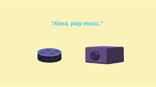 Amazon Alexa: Set Up Your Echo Link
