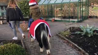 Leo riding the Donkey Christmas 2019