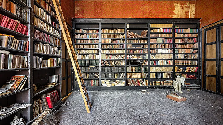 Found Ancient Art Treasures in Abandoned French Lu...
