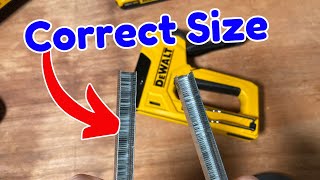 What Size Staples Do I Need For My DeWALT Staple Gun? (Complete Guide)