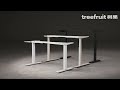 Table variation display  3d rendering animation  treefruit