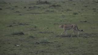DSCN0559