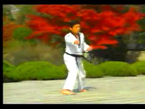 8. Taekwondo Poomsae Taegeuk Pal Jang (WTF)