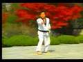 8 taekwondo poomsae taegeuk pal jang wtf