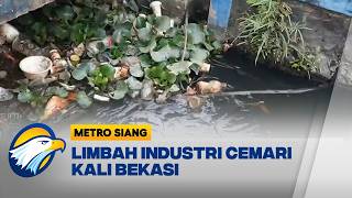 Air Kali Bekasi Mendadak Hitam dan Bau PDAM Tirta Patriot Terdampak