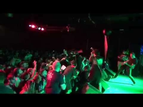 American Nightmare - Love American