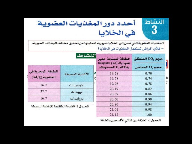 اطعمة تمد الجسم بالمركبات اللازمة للنمو وتعويض التالف من الخلايا