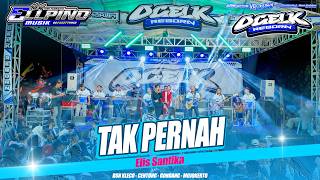TAK PERNAH Elis Santika New ELLPINO Music X OCELK Reborn Live Mojokerto #2026