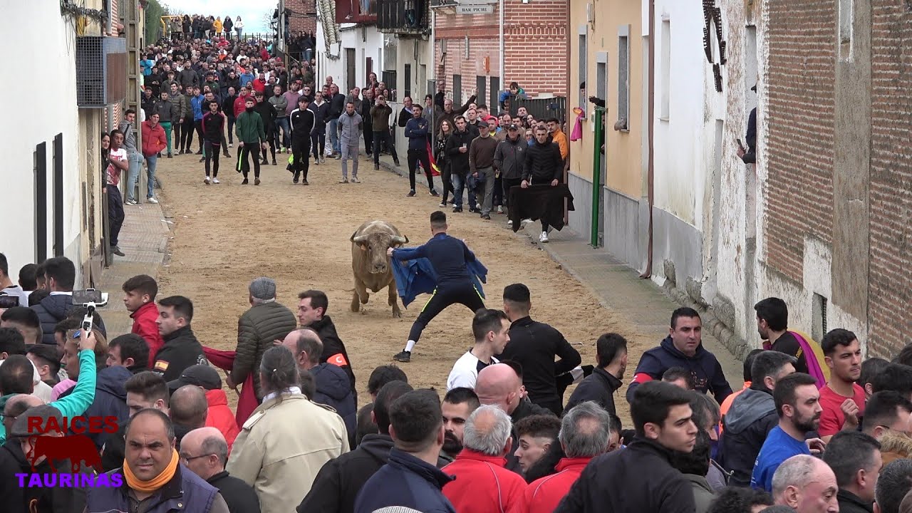 toros-de-san-julian-2025-horcajo-de-las-torres-av-11-01-youtube