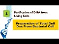Extraction and Purification of total cell DNA from bacterial cell in Hindi