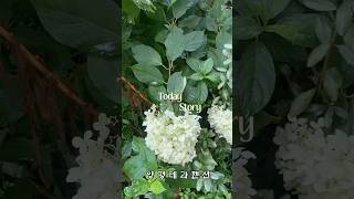 [서울근교 감성펜션] 양평 테라펜션｜독채 바비큐·독서모임하기 좋은 독채형 공간, 완벽한 힐링 여행