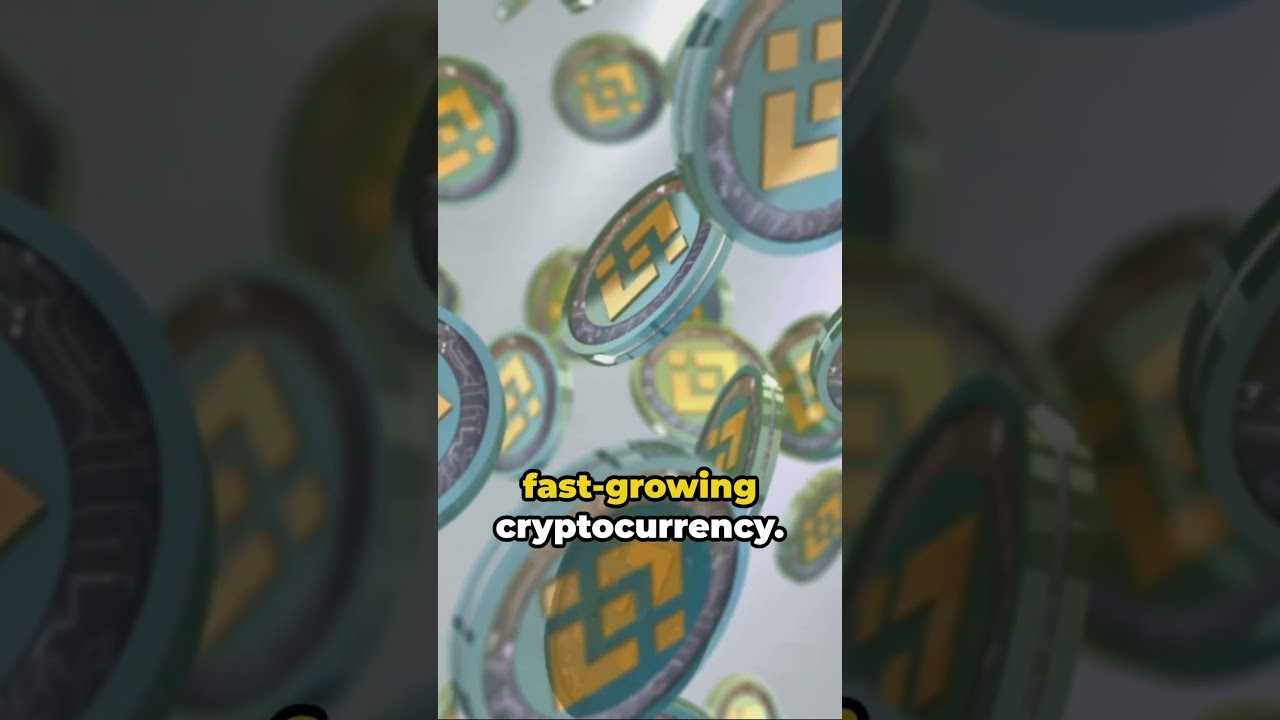 How to split your crypto investment in the top 5 performers 