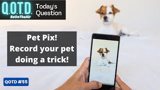 Tricky Pets: Today’s QOTD Question (Record with link below & be on air!)