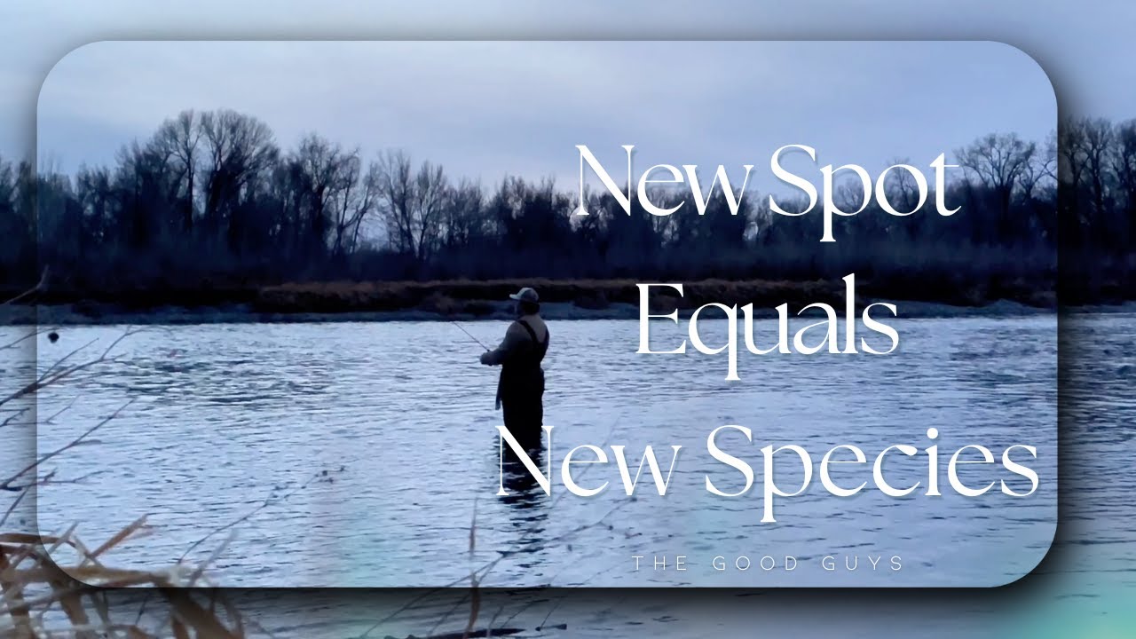 New Spot Equals New Species - Ep. 6