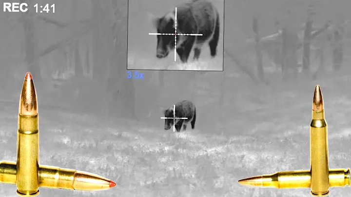 223 vs 300 Blackout | What’s Better for Hogs