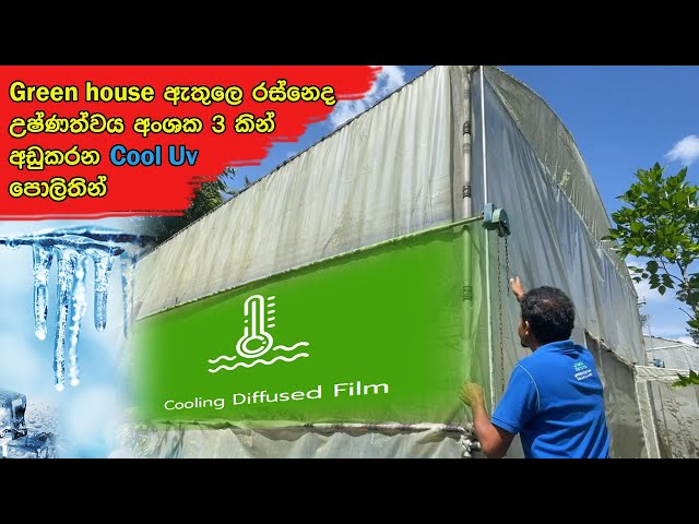 සල්ලි යටකරන්නෙ නැතුව Misters නොදා හරිතාගාර cool කරන විශේෂ පොලිතින් තාක්ෂණය