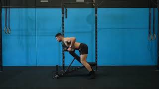 Chest Supported Dumbell Row The Motus Pull-Up Program