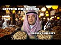 Diet vs. Supplement: Can Nuts and Seeds Give You Enough Magnesium? + Supplements For Endurance
