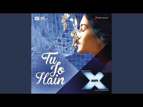 Tu Jo Hain (From "Mr. X")