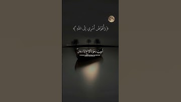 وإذا سألك عبادي عني فاني قريب #فارس_عباد #تلاوة_خاشعة