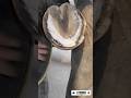 The Largest Hoof I Have Ever Had To Trim. Horse Restoration Front Hooves. #horse #donkey #hoof #asmr