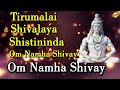 Special Peaceful Om Namah Shivay Dhun Songs |  Non Stop Om Namah Shivay Songs | Tvnxt Devotional