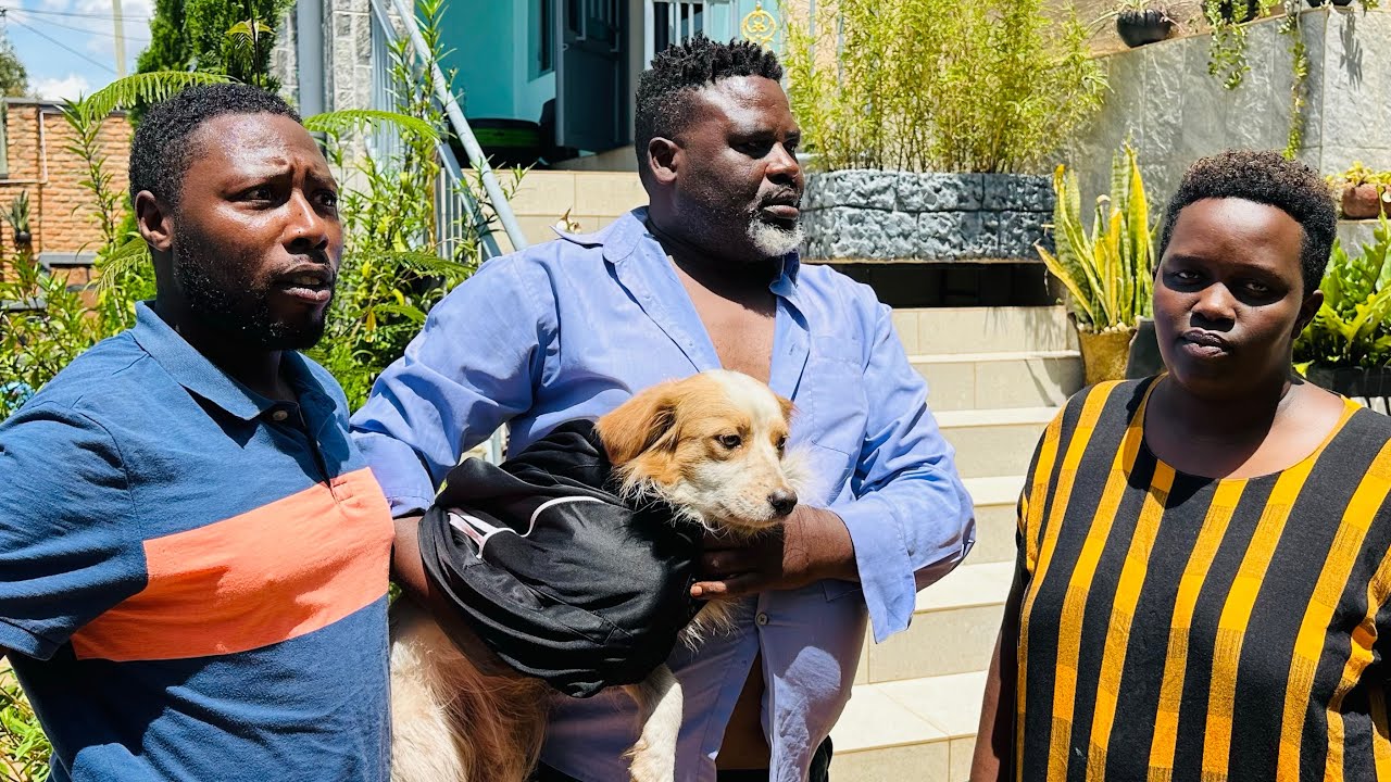 PAPA SAVA EP1285:INDEZO Y'IKI DI?!BY NIYITEGEKA Gratien(Rwandan Comedy)