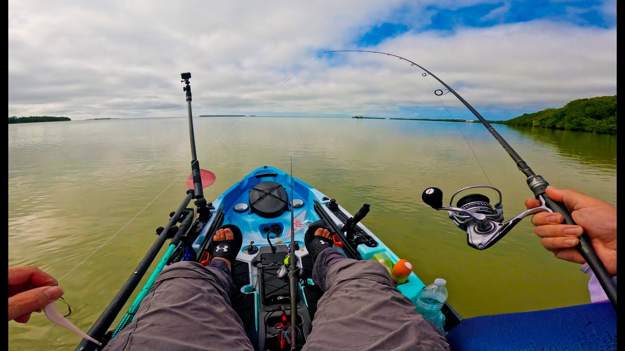 best fishing lures for bream Jarvis Walker Bream Lure Packs