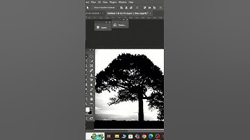 Remove Background from Complex Images in Photoshop – Pro Techniques! #photoshopcourse #tutorial