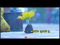 Vasalile poosani poo vachiputa / Ilaiyaraja 90's melody / whatsapp status video