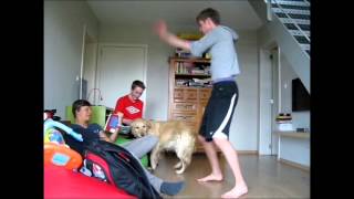 harlem shake 1 AVI