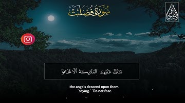 سورة فصلت كاملة   Surah Fussilat   من أجمل ما ستسمع للقارئ محمد ديبيروف ❤😴 2