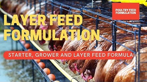 Layer Feed Formulation, How to Make Your Own Layer Feed (HD)