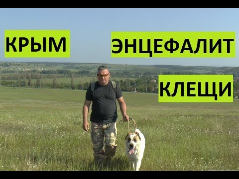 Крым. Клещи