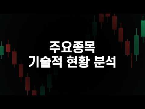 삼전. 하닉. 셀트리온. 엔비디아. 구글. 테슬라. 팔란티어. 두산에너빌리티. 한화에어로. TSMC. 마이크로소프트 차트분석