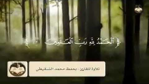 تلاوة القارئ يحفظ محمد الشنقيطي