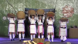 202山坡上的音樂會    明志科大  (3-1)
