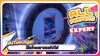 maimaiでらっくす】Schwarzschild スタンダード譜面 EXPERT ALL
