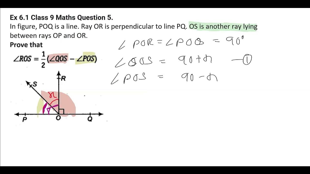 Ex 6 1 class 9 maths question 5 youtube