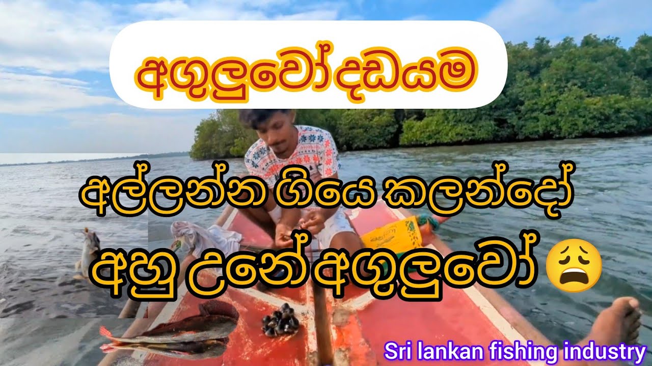 කලංදෝ අල්ලන්න ගිය අපිට වෙච්ච දේ. 🐟🐟🫠/ කඩොල් මට්ටි .  