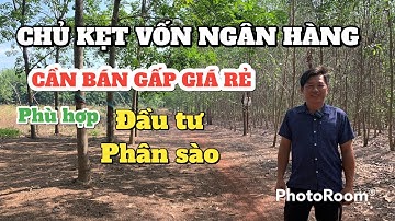 Chủ kẹt Ngân Hàng nên cần bán gấp giá rẻ lô đất có 110m2 mặt tiền tại xã Trị An, Vĩnh Cửu #ĐSVC68