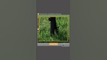 Forest Pack Tutorial: Excluding Scattered Items from Underneath Objects